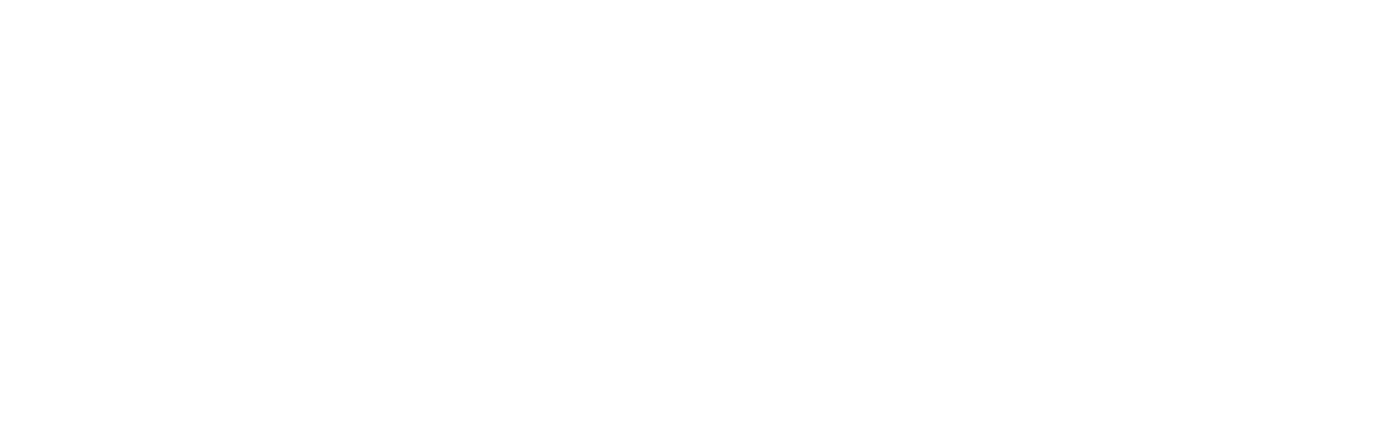 Logo Enzo blok horiz wit